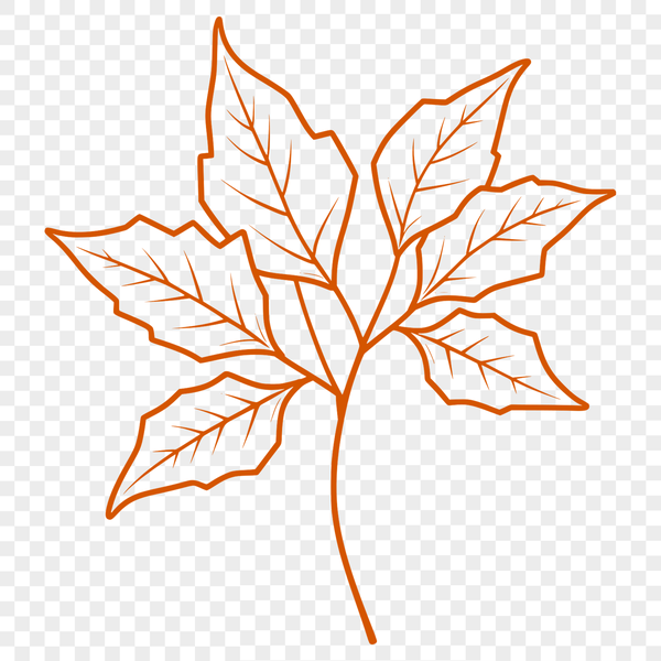 Free Vector Greenery Design A vector illustration of a single leaf with rounded edges and detailed veins.