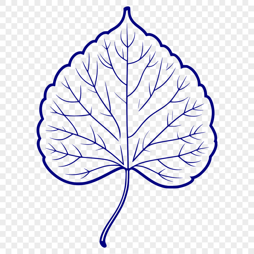 A vector illustration of a single green leaf with curved edges and veins.