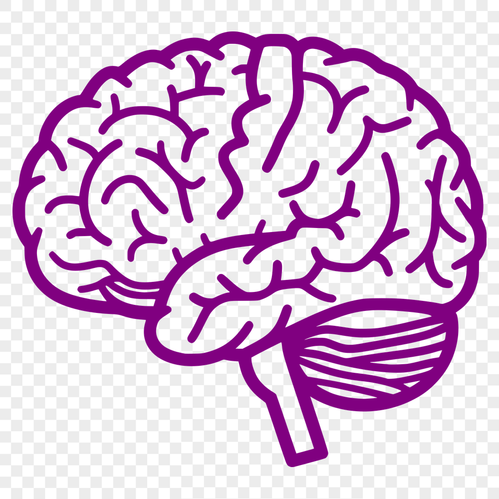 Stunning Brain SVG, PNG, PDF And DXF Files