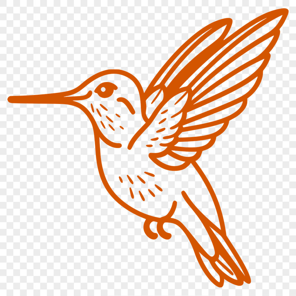 Hummingbird In PDF Format