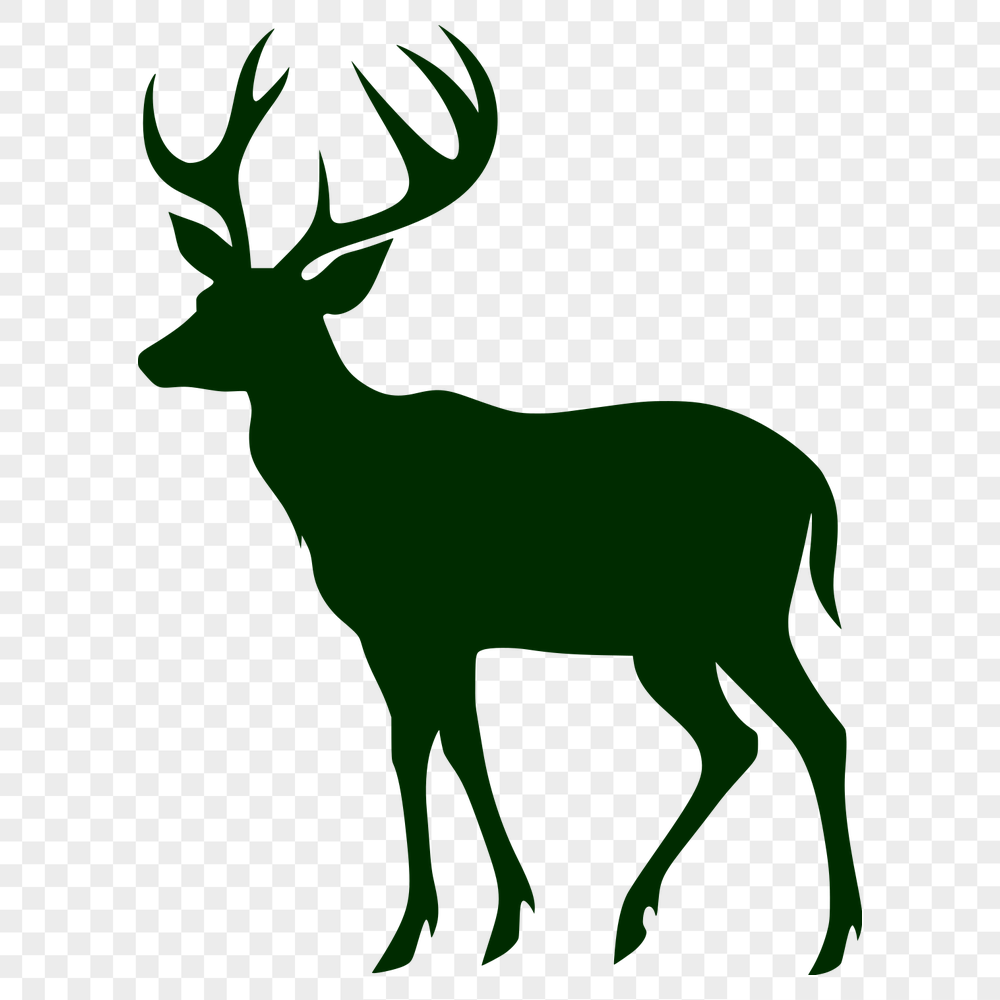 Beautiful Deer Clipart