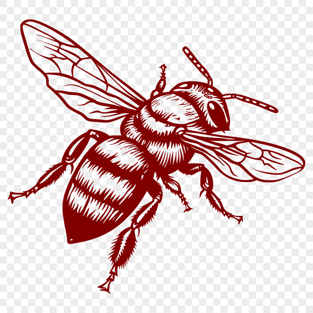 Free Free Bee Template