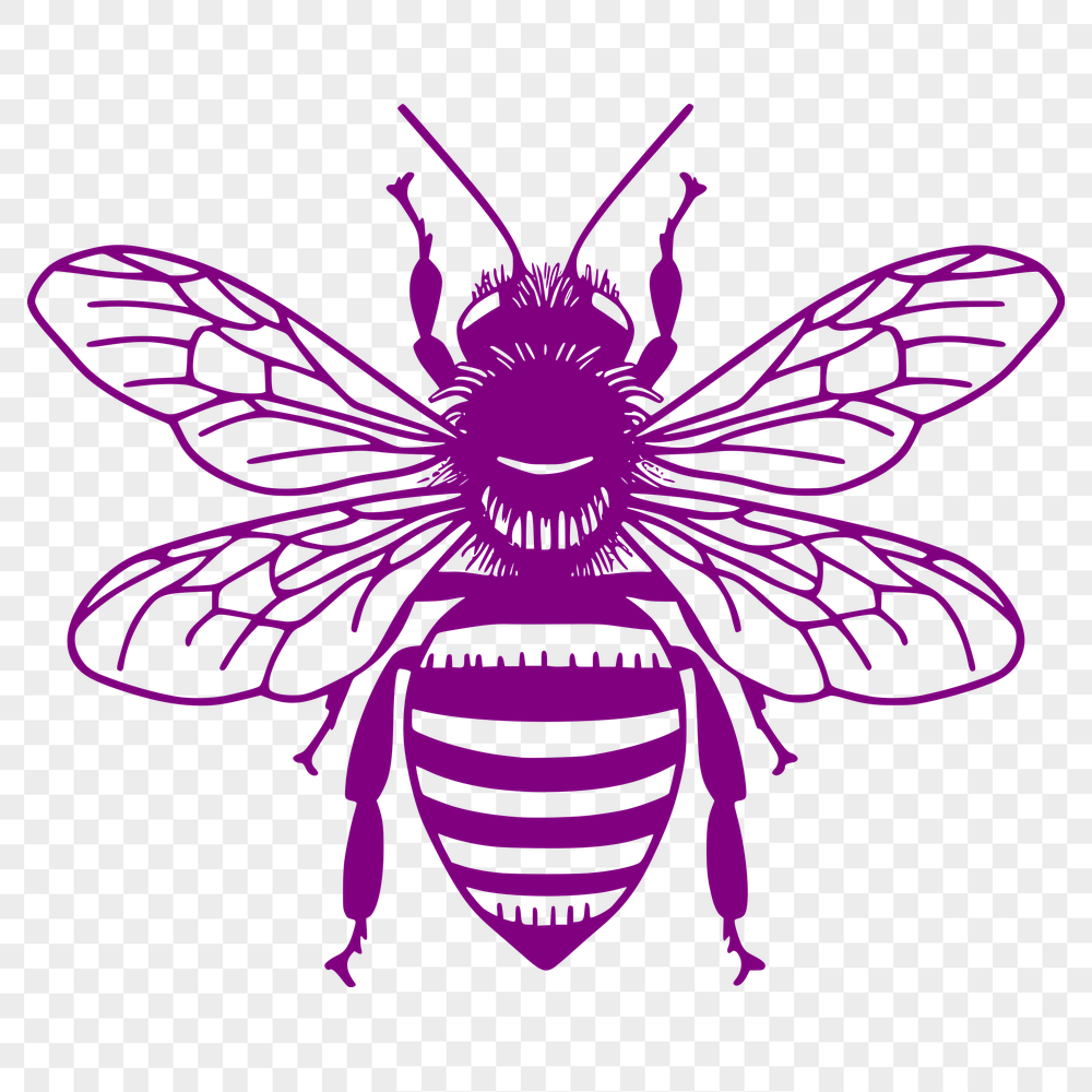 Unique Bee Decal