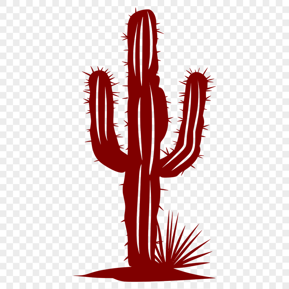 Unique Cactus Drawing