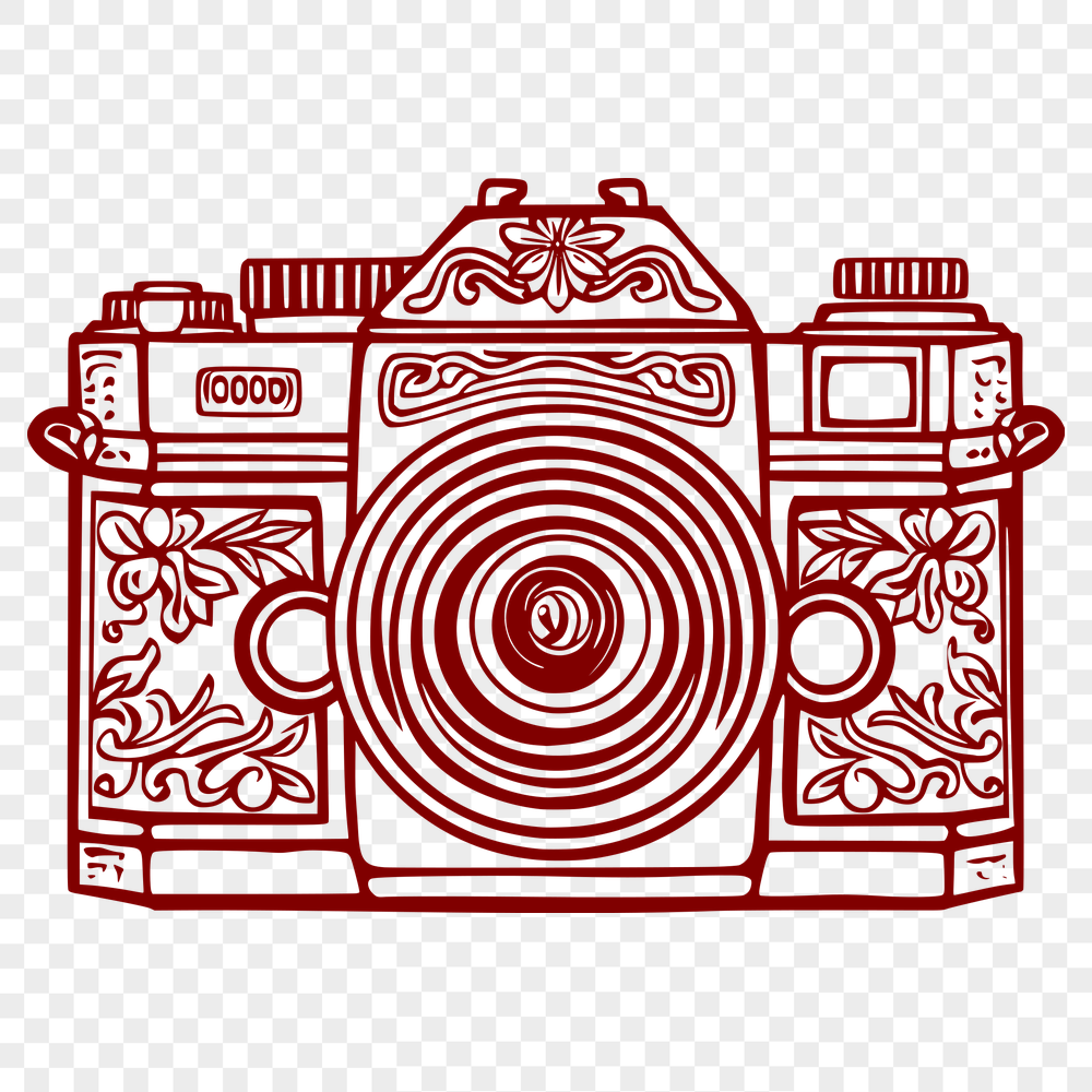 Beautiful Camera Vector Illustration