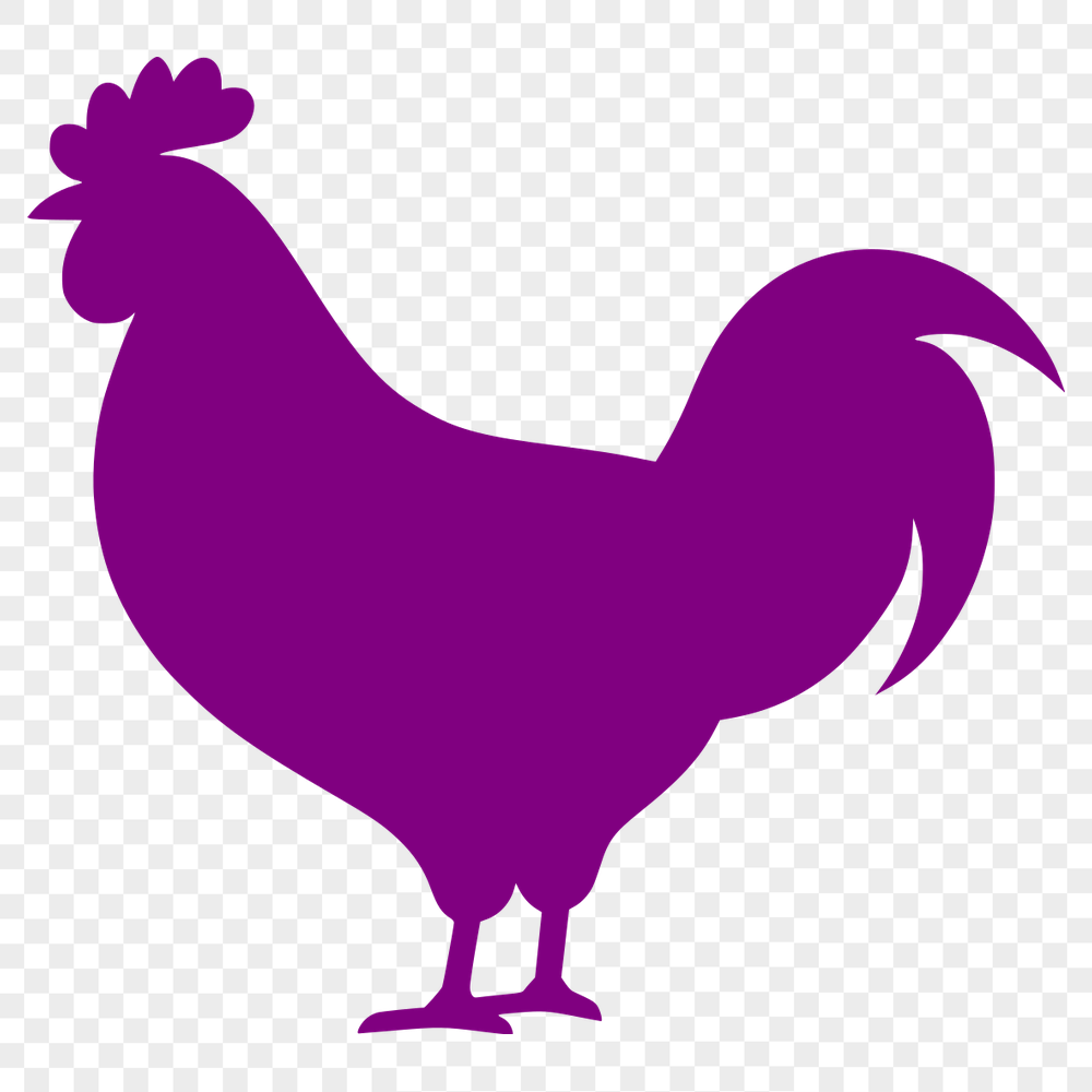 Stunning Chicken Clip Art