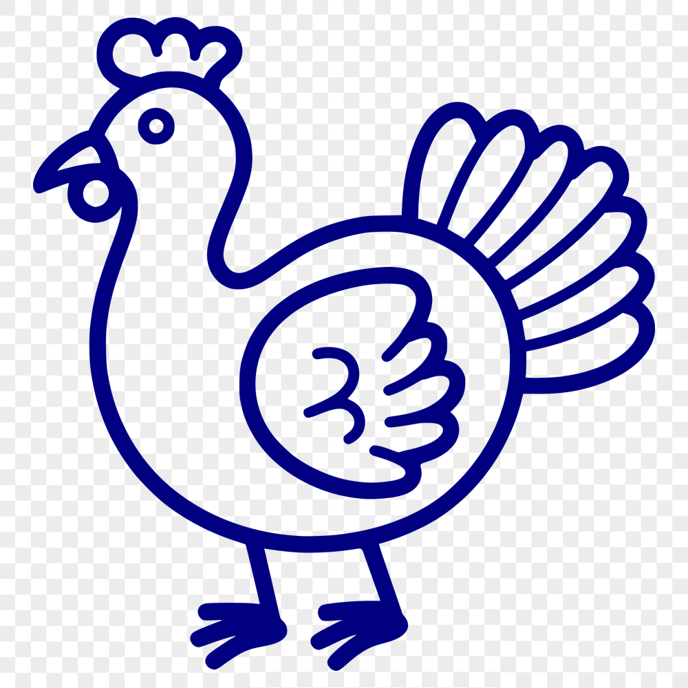 Beautiful Turkey Simple Line Drawing