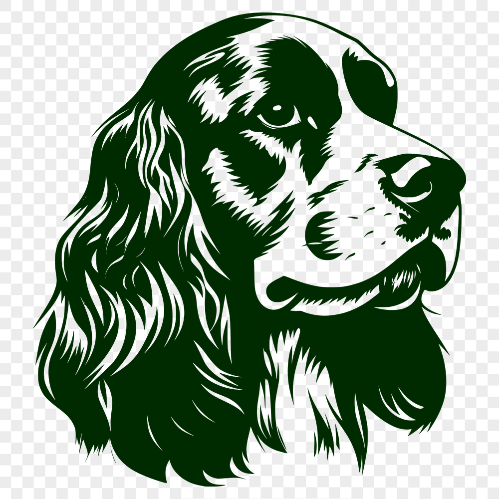 Unique Cocker Spaniel Vector Drawing