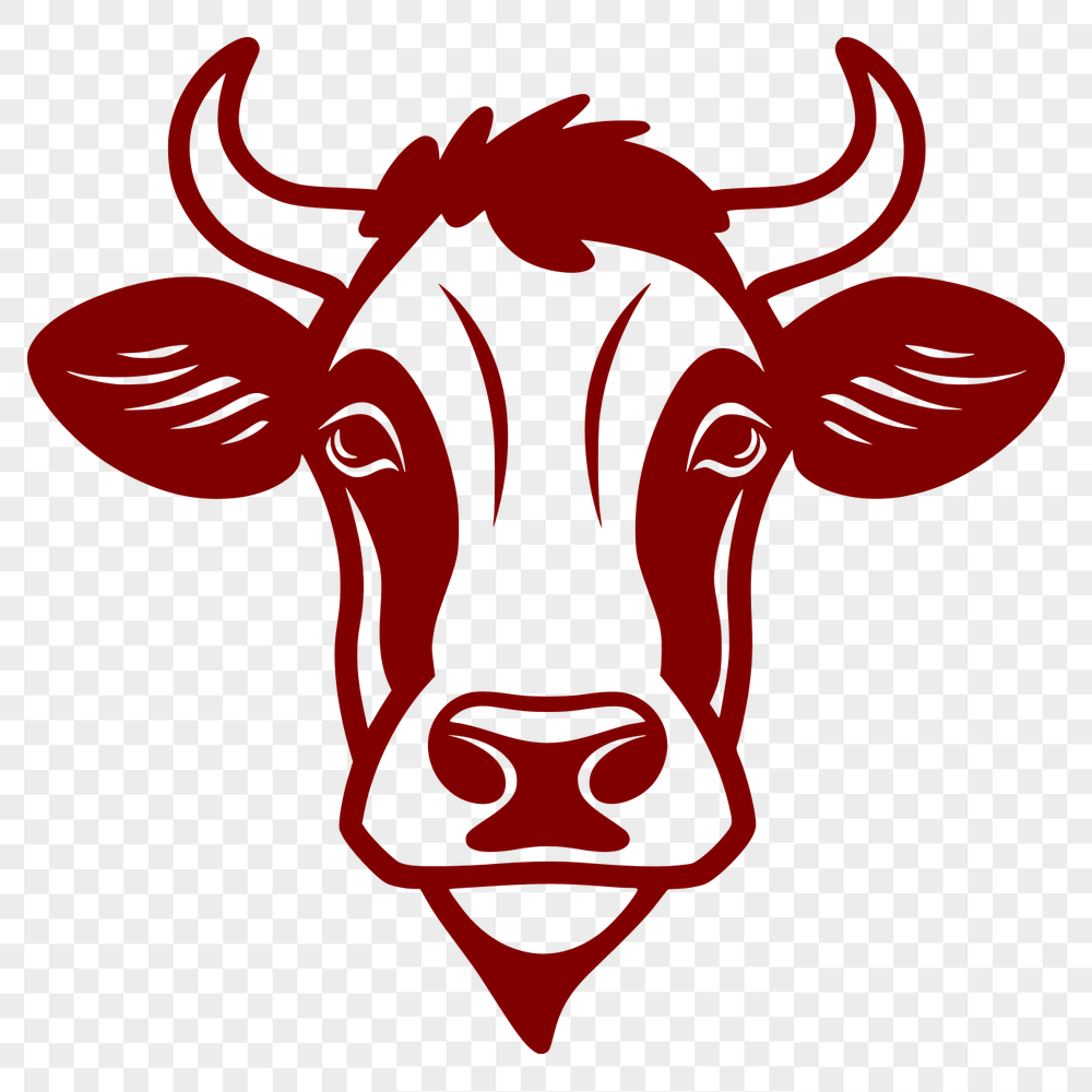 Free Beautiful Cow Image