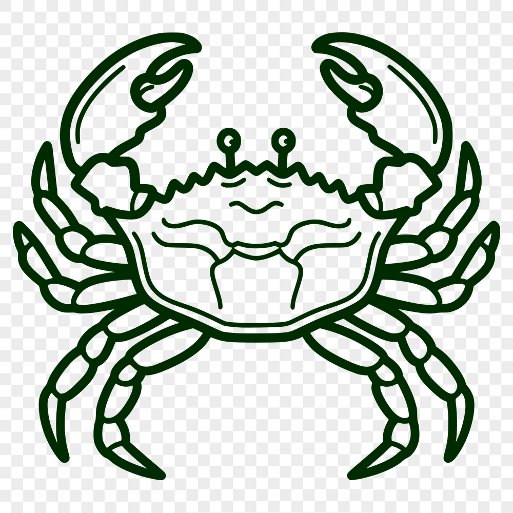 Unique Crab - For Animal Project