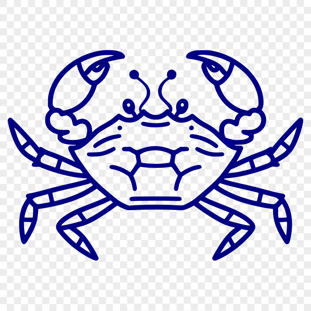 Beautiful Crab Digital Drawing