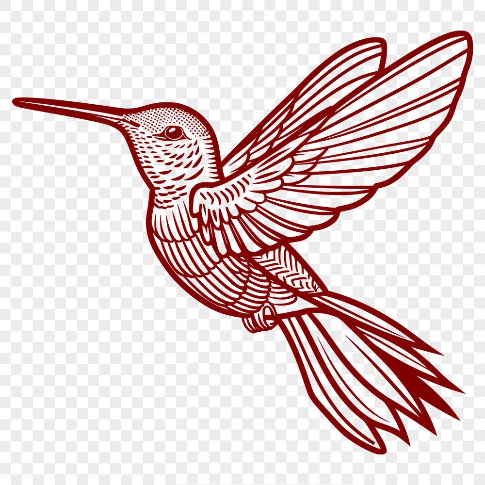 Beautiful Flying Hummingbird Vector Craft File