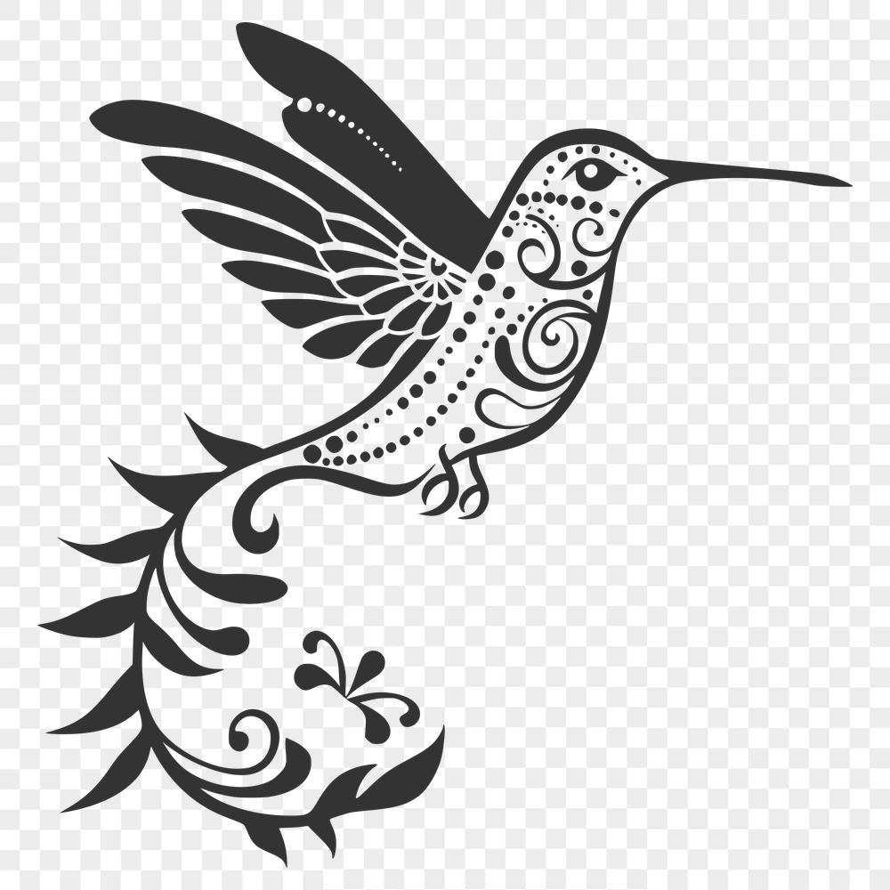 Beautiful Hummingbird Vector Art