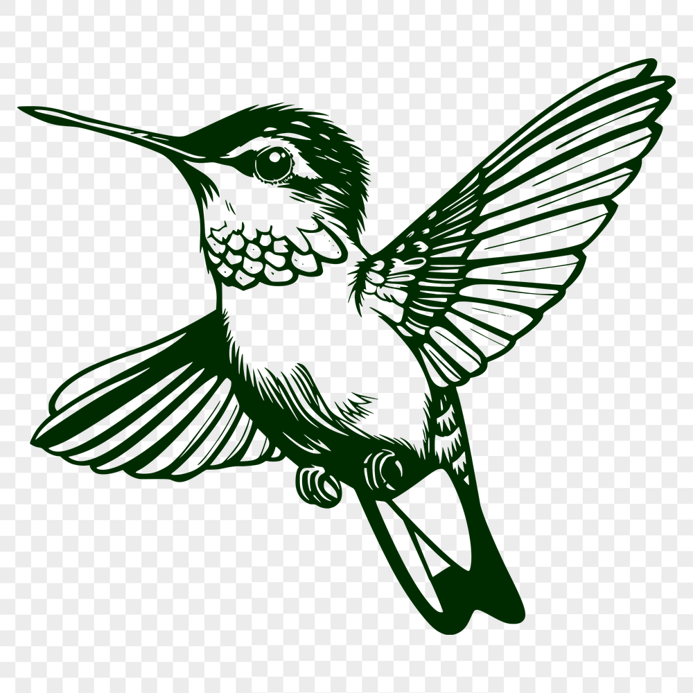 Free Hummingbird - Laser Engraver PNG