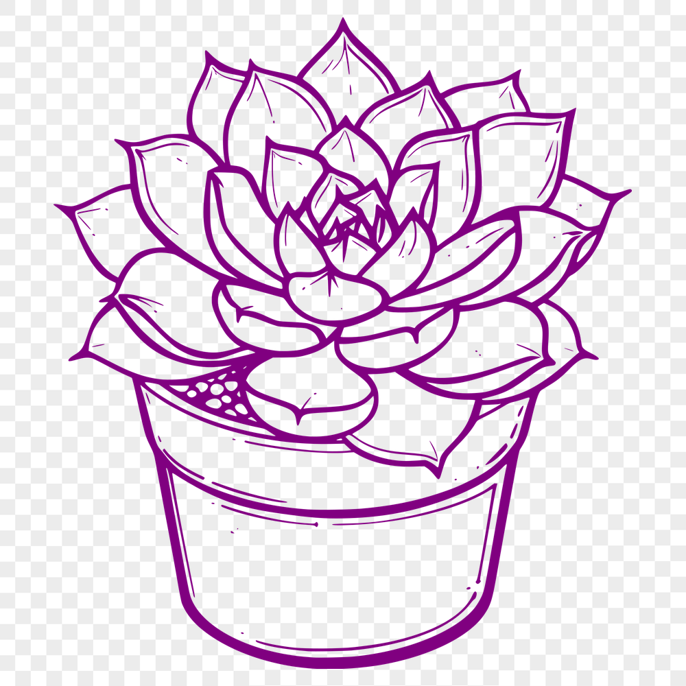 Creative Plant - Laser PNG