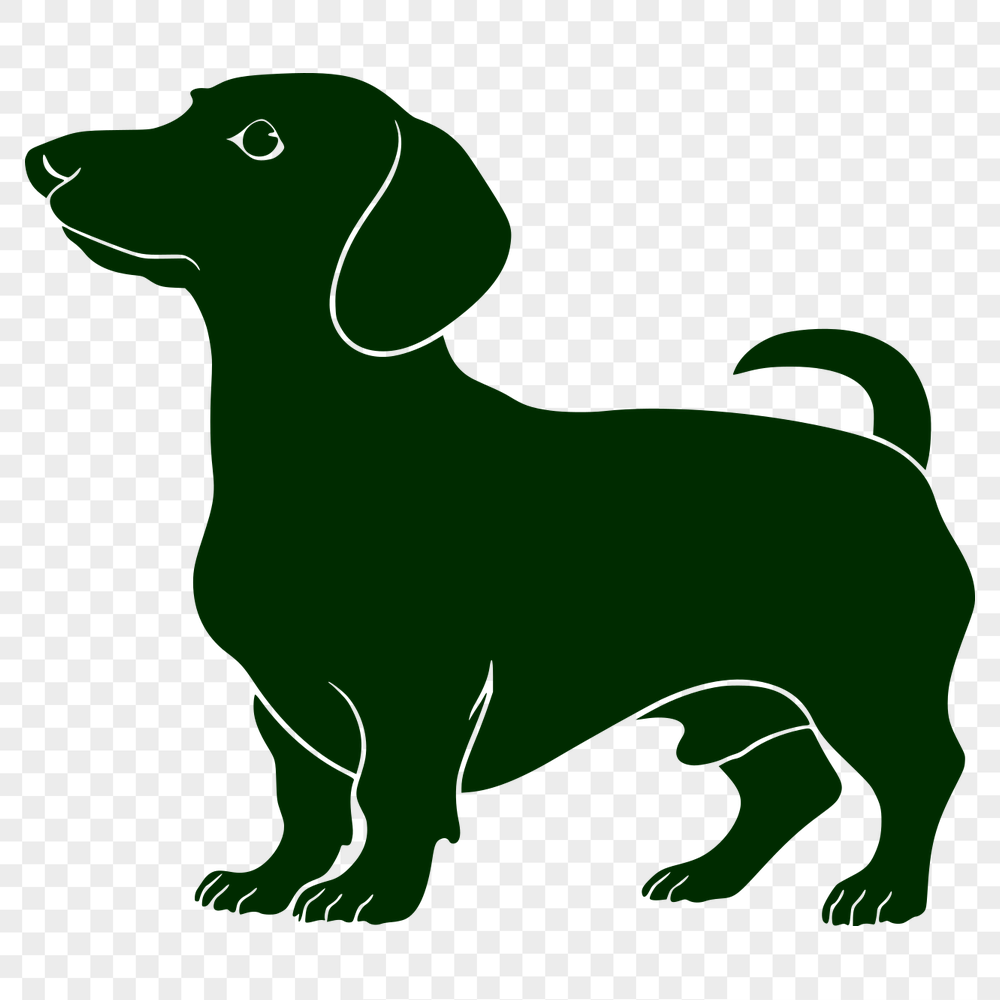 Stunning Standing Dachshund PDF