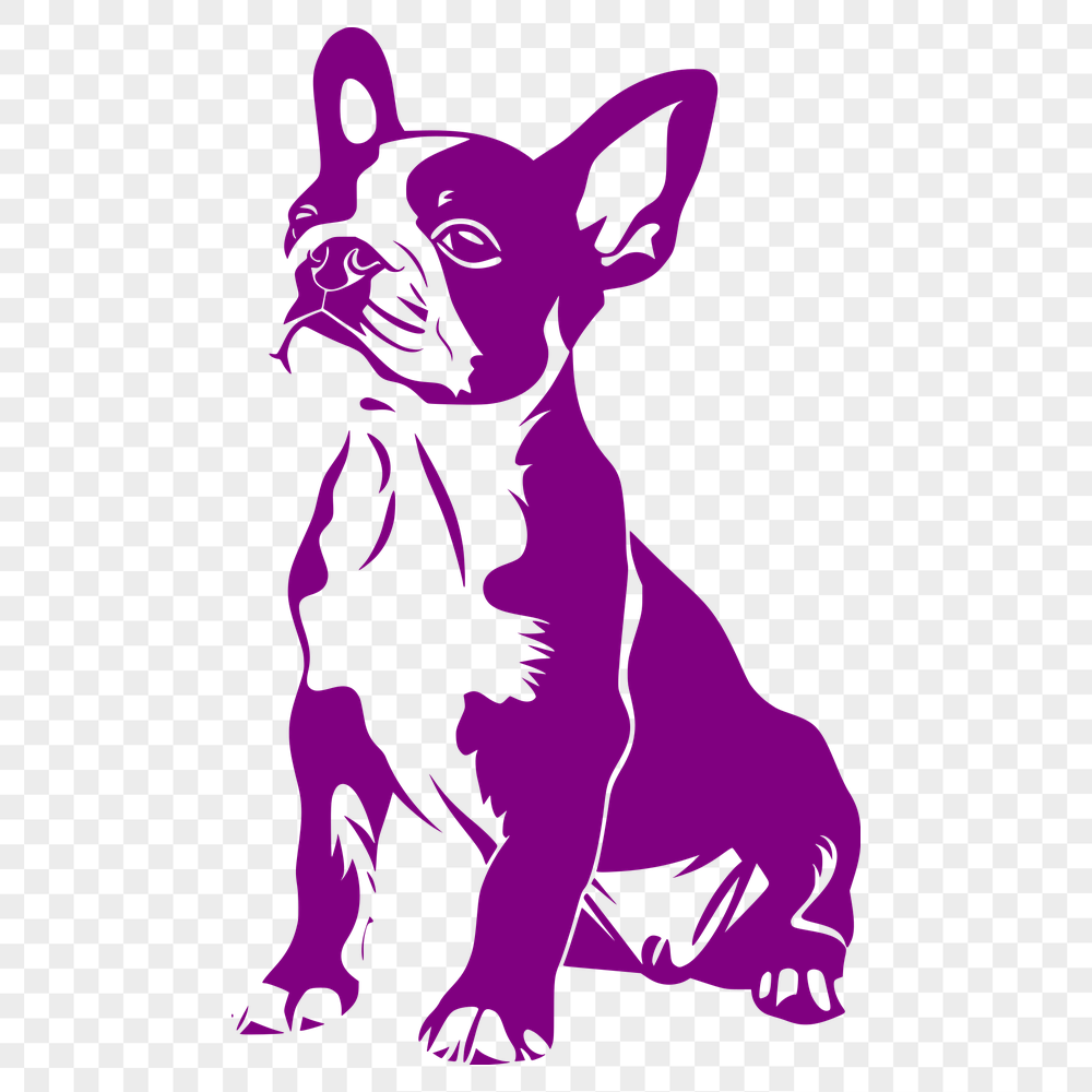 Free Beautiful Dog Illustration