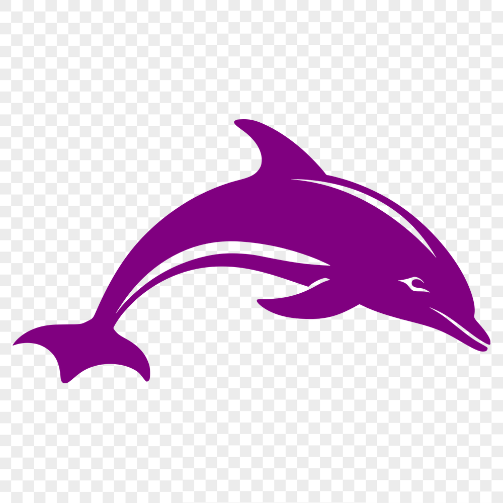 Free Beautiful Dolphin Design