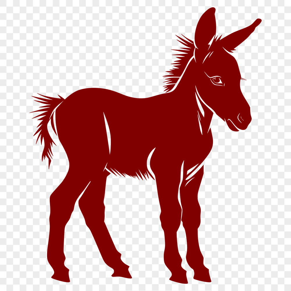 Artistic Donkey PNG