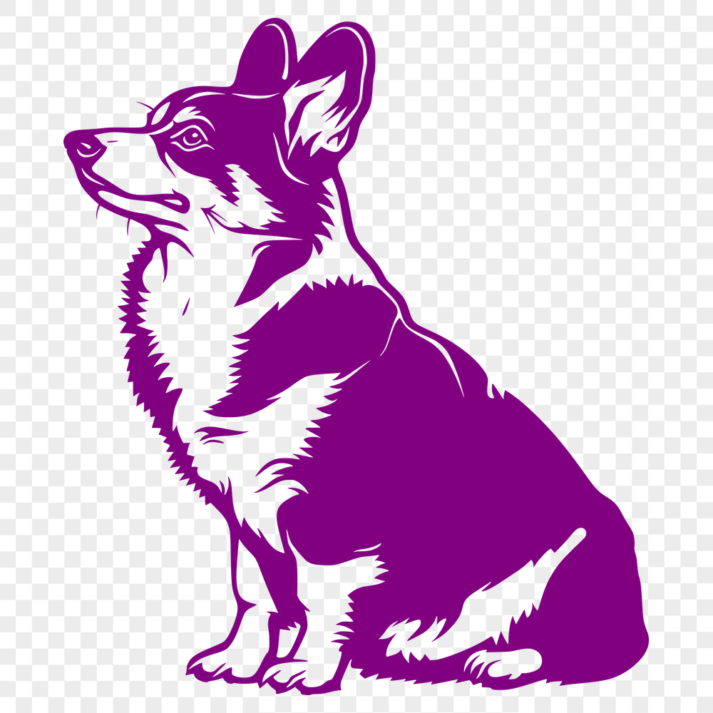 Beautiful Corgi Vector Illustration