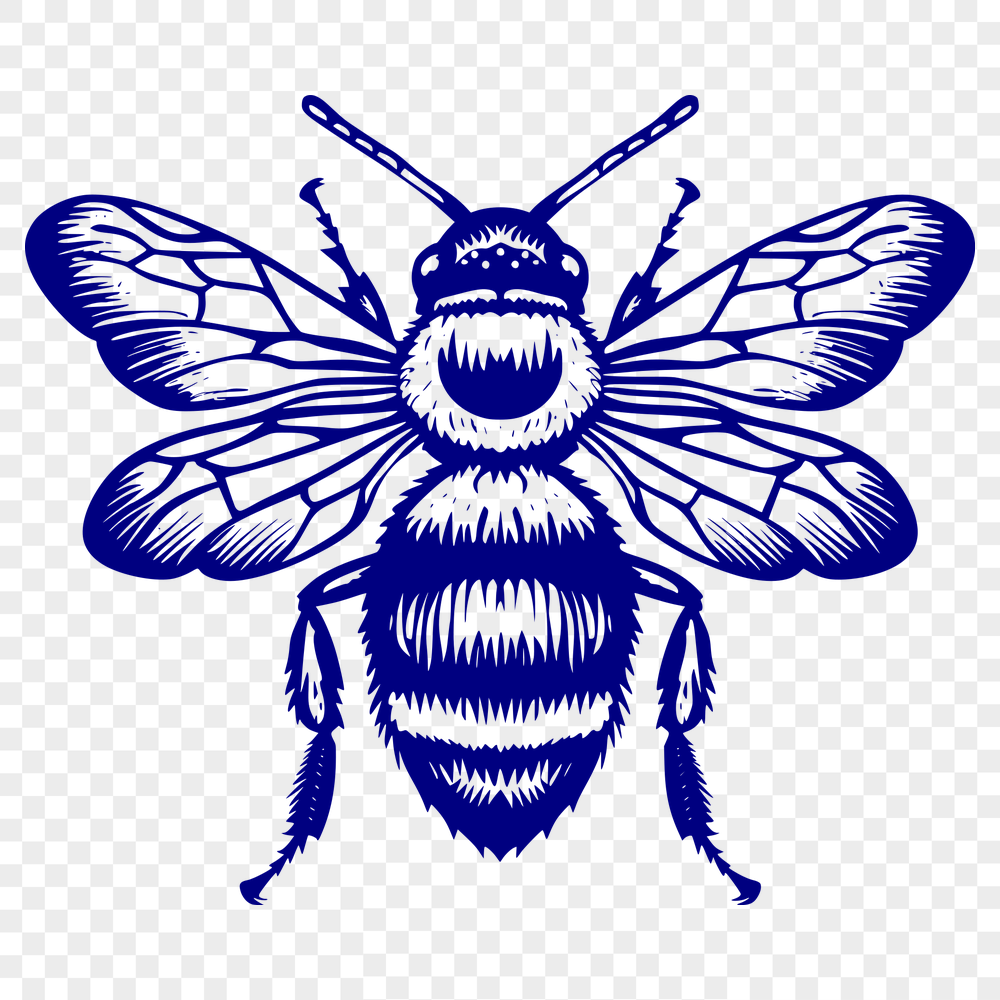 Creative Bee Vector Art