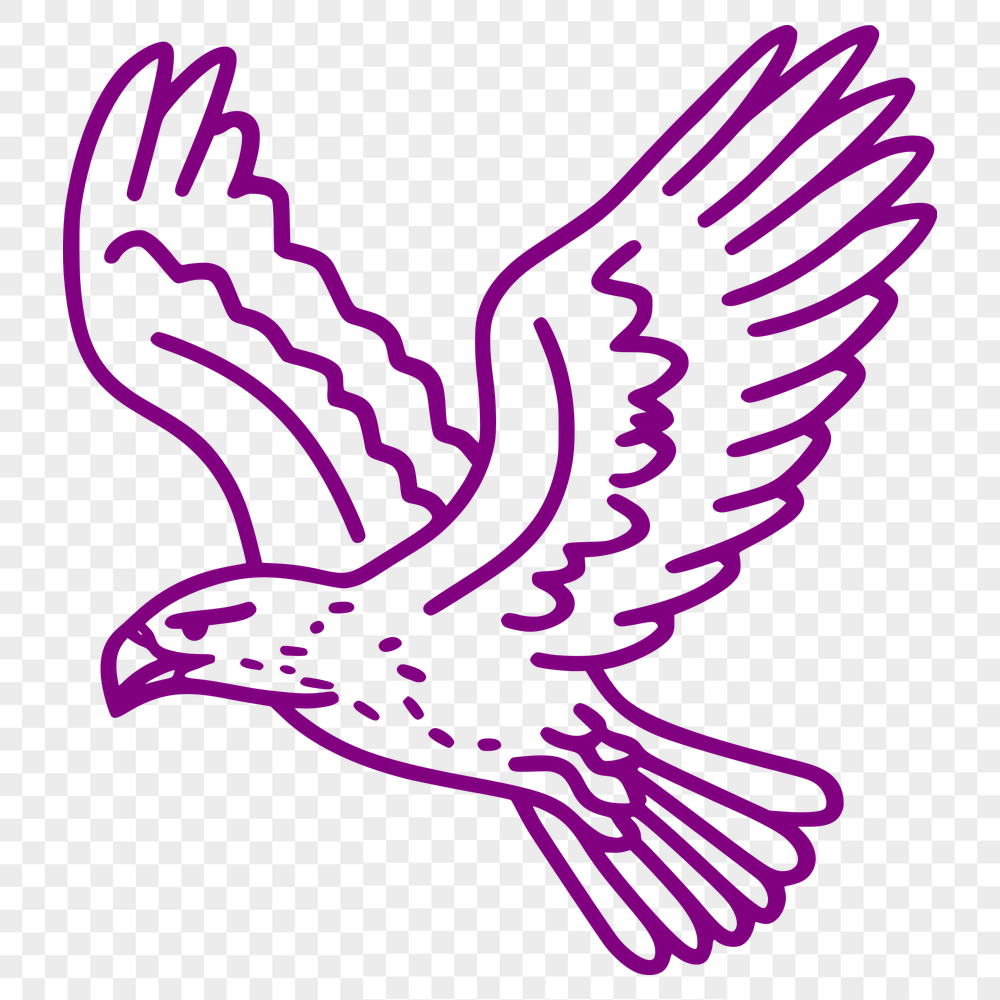 Beautiful Eagle SVG