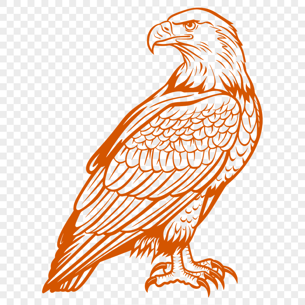 Free Stunning Eagle Vector Craft File