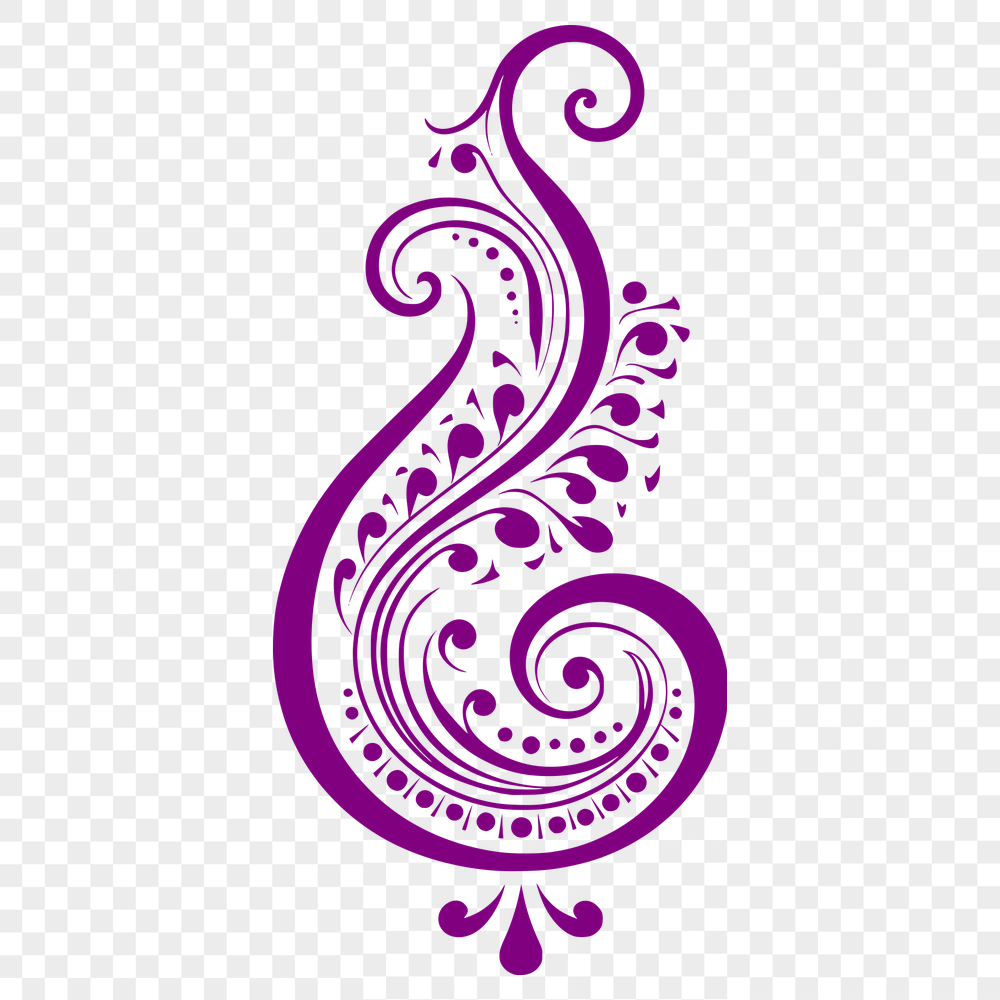 Artistic Paisley Vector Image