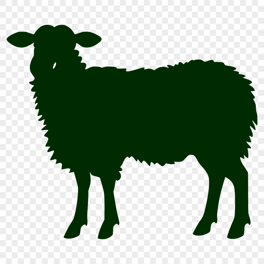 Free Stunning Sheep Vector Drawing