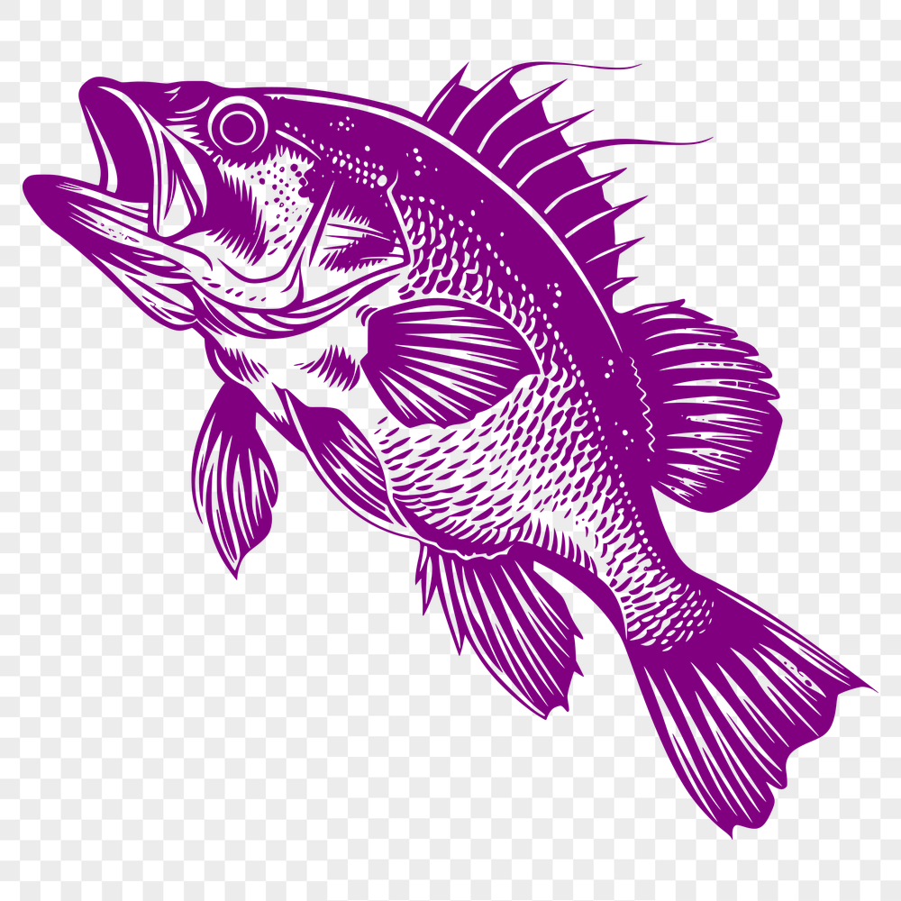 Creative Fish Vector Craft File