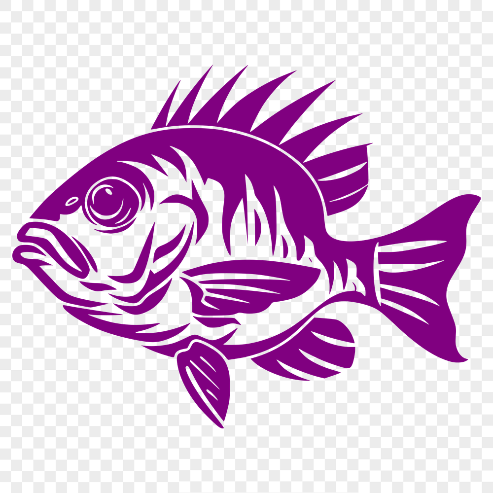 Creative Fish Vector Illustration