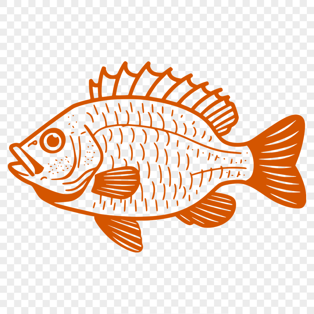 Free Artistic Fish Vector Image