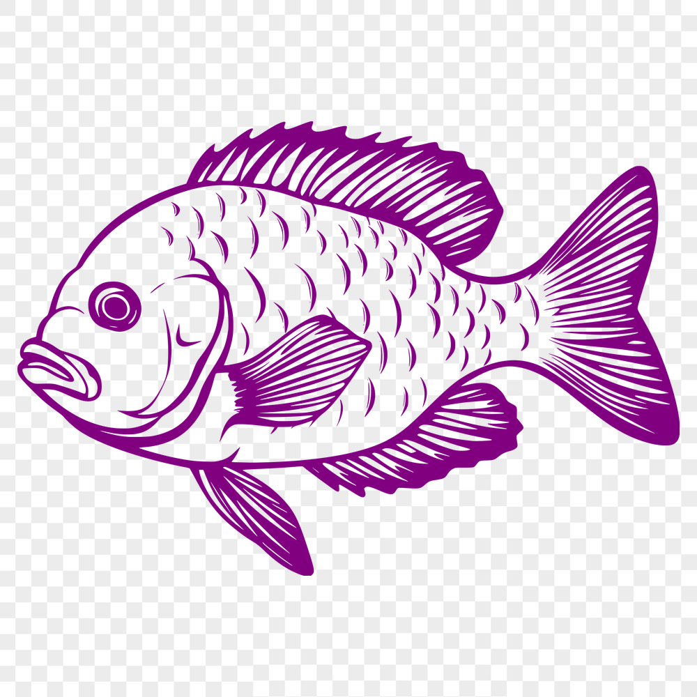 Artistic Fish Digital Artwork