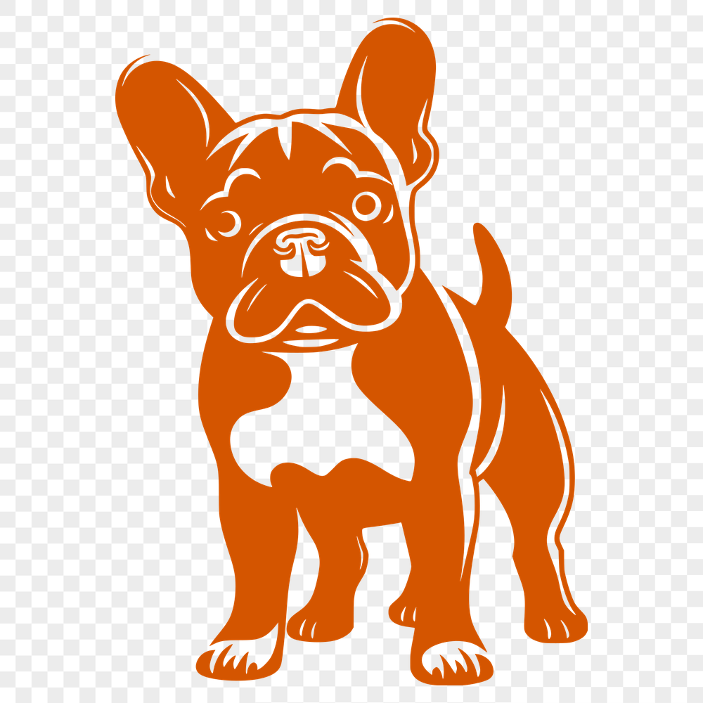 Beautiful French Bulldog Clipart