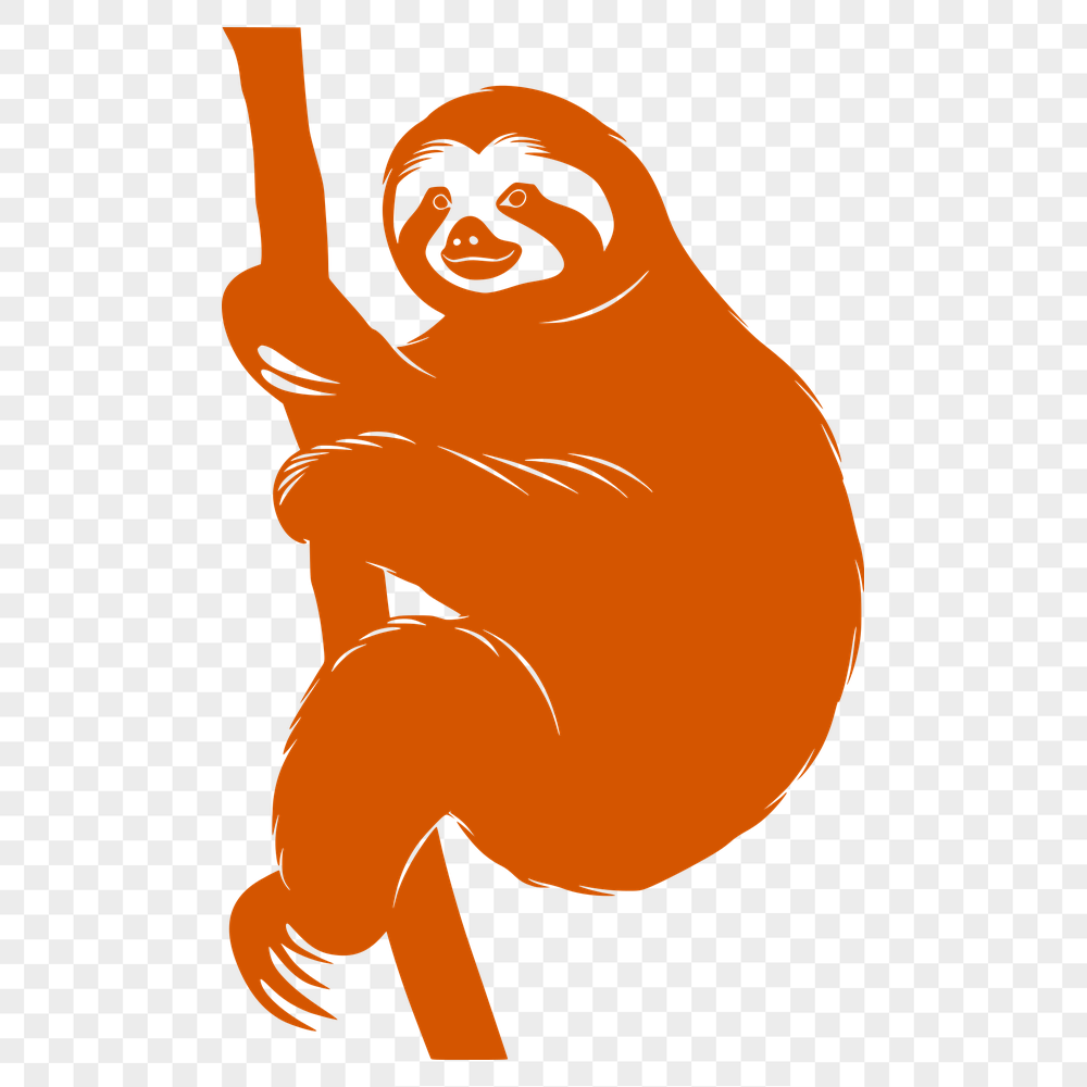 Free Stunning Sloth Image