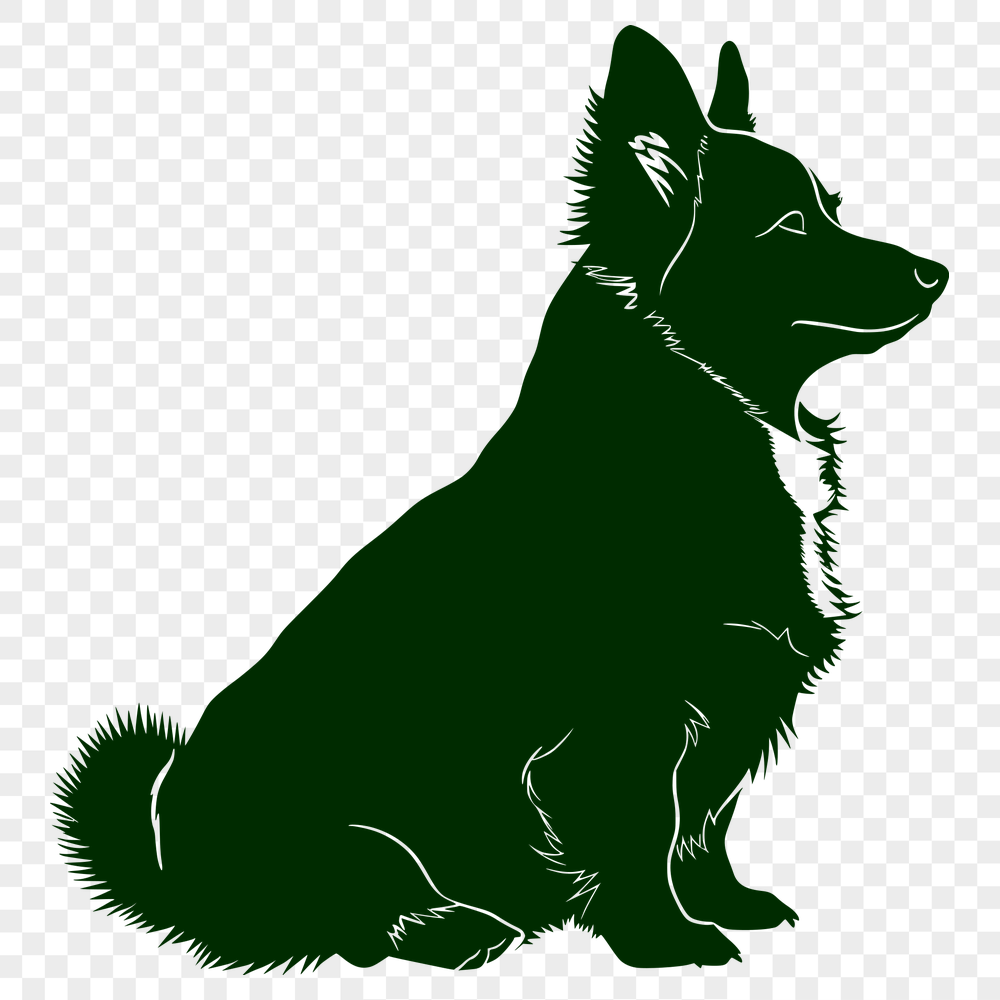 Beautiful Sitting Welsh Corgi - PNG