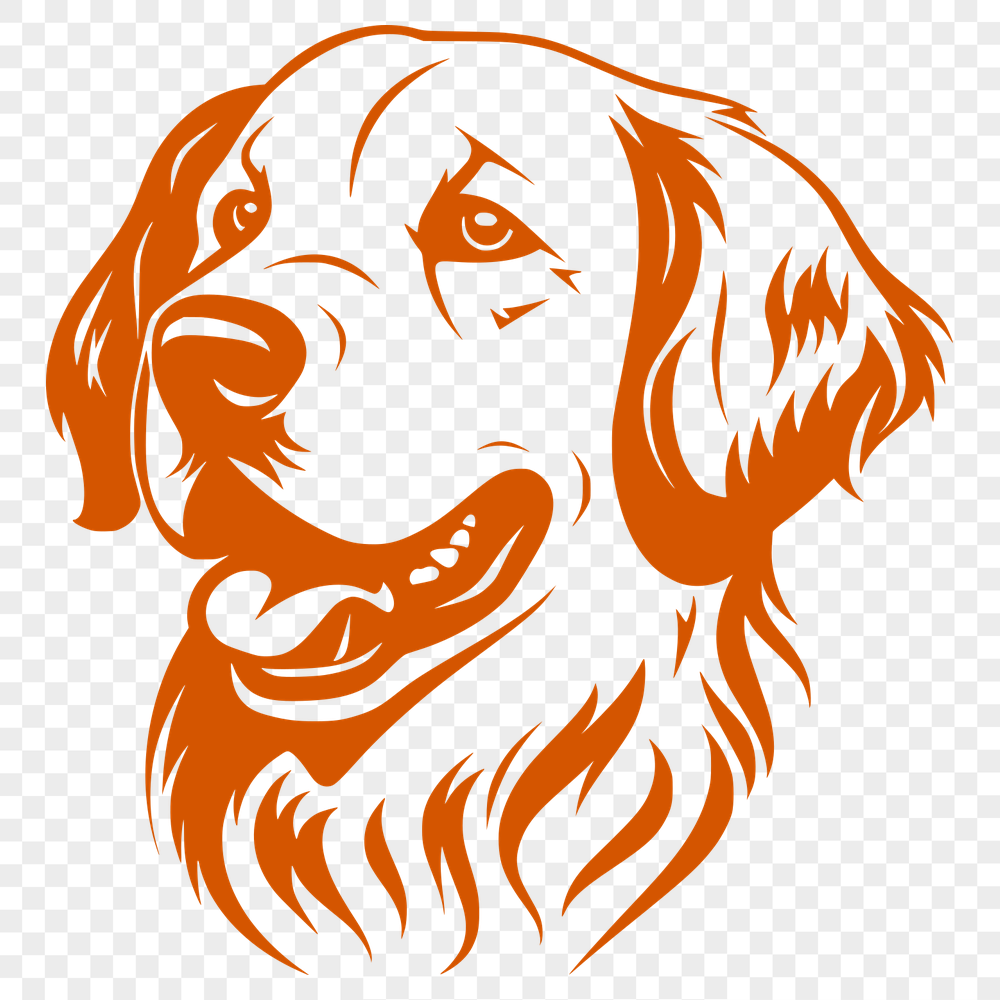 Unique Golden Retriever Drawing