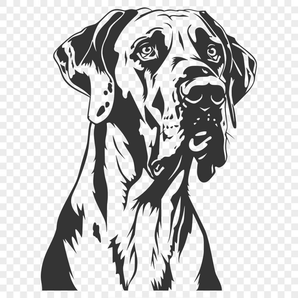 Artistic Pet Vector Image