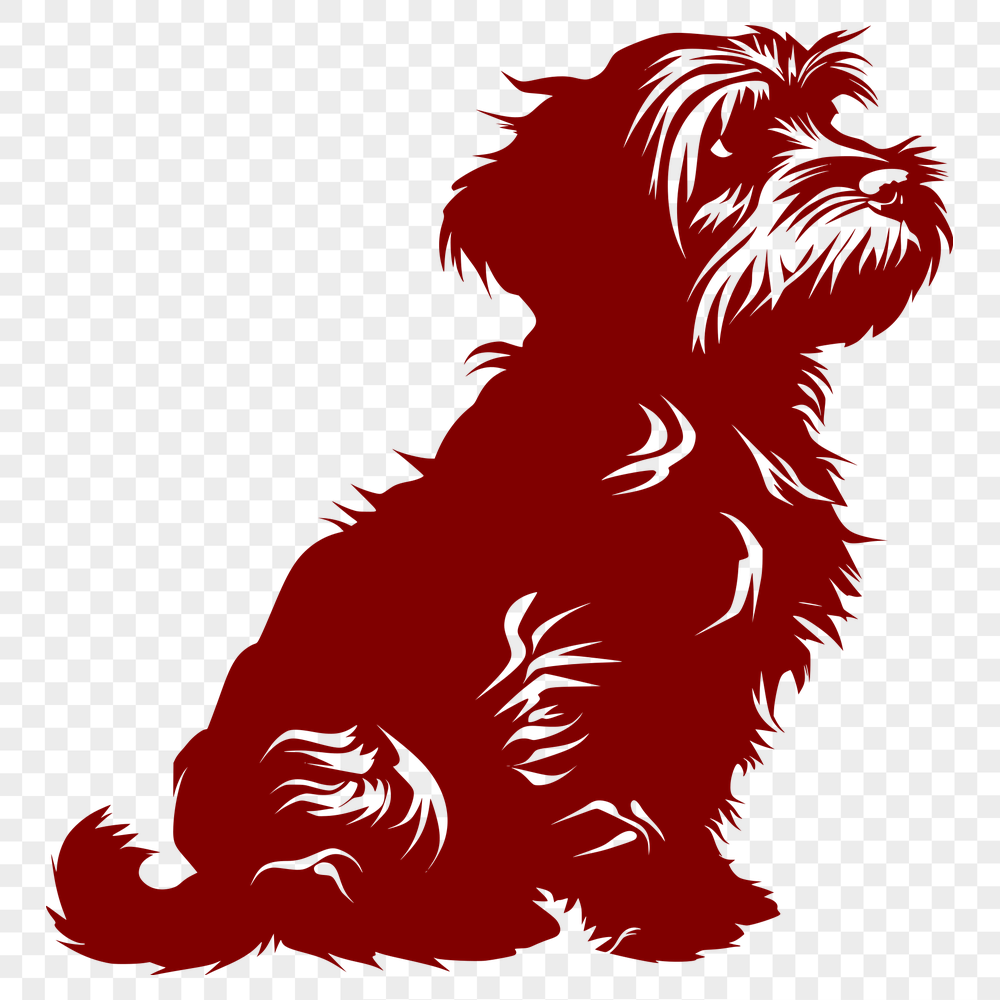 Free Artistic Havanese Clip Art