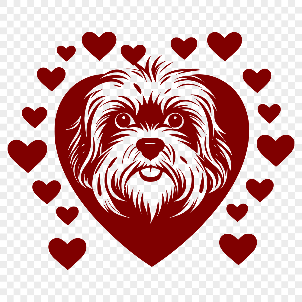 Stunning Havanese In SVG & DXF