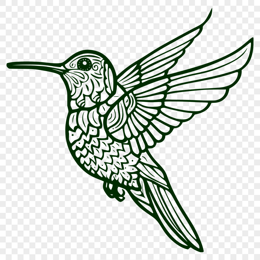 Beautiful Flying Bird SVG