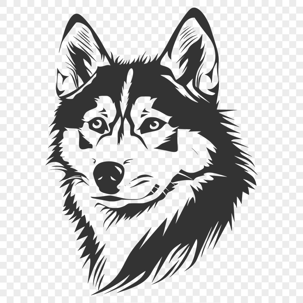 Stunning Husky SVG, PNG, PDF And DXF Files