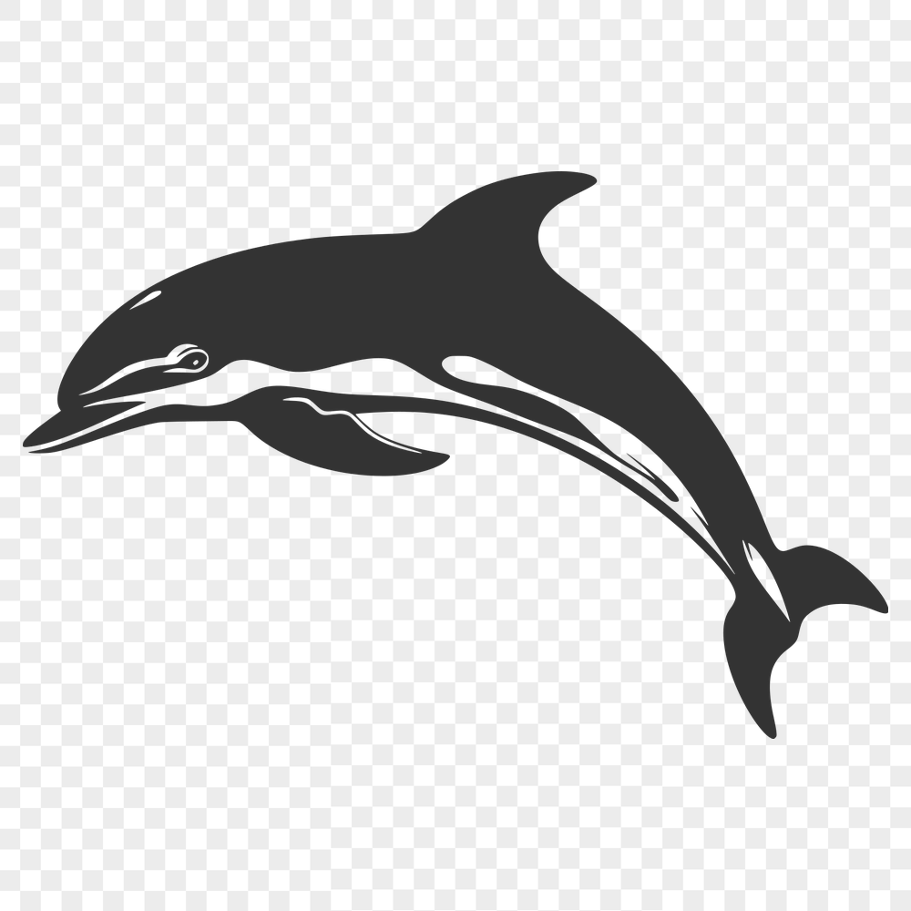 Free Creative Dolphin Vector Image