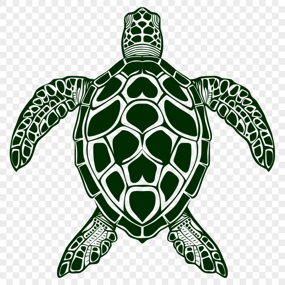 Stunning Sea Turtle Vector Drawing