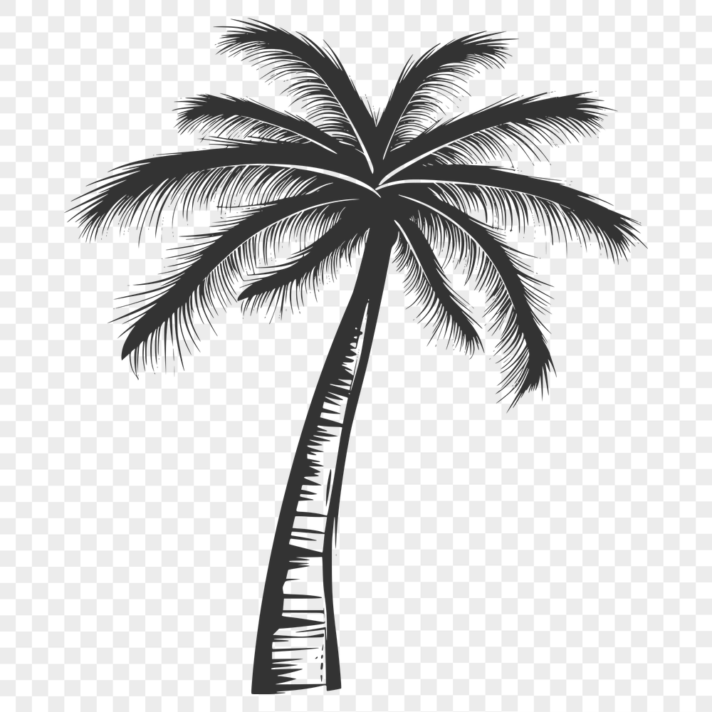 Beautiful Palm Tree - PDF For Commercial Use