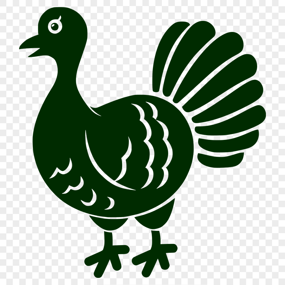 Free Turkey Vector Illustration