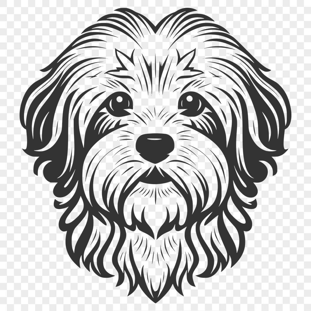 Creative Havanese - For Laser Project