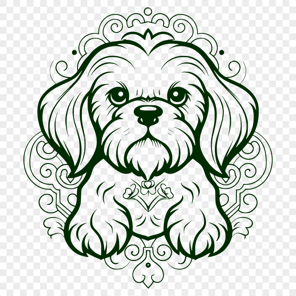 Unique Sitting Shih Tzu PDF