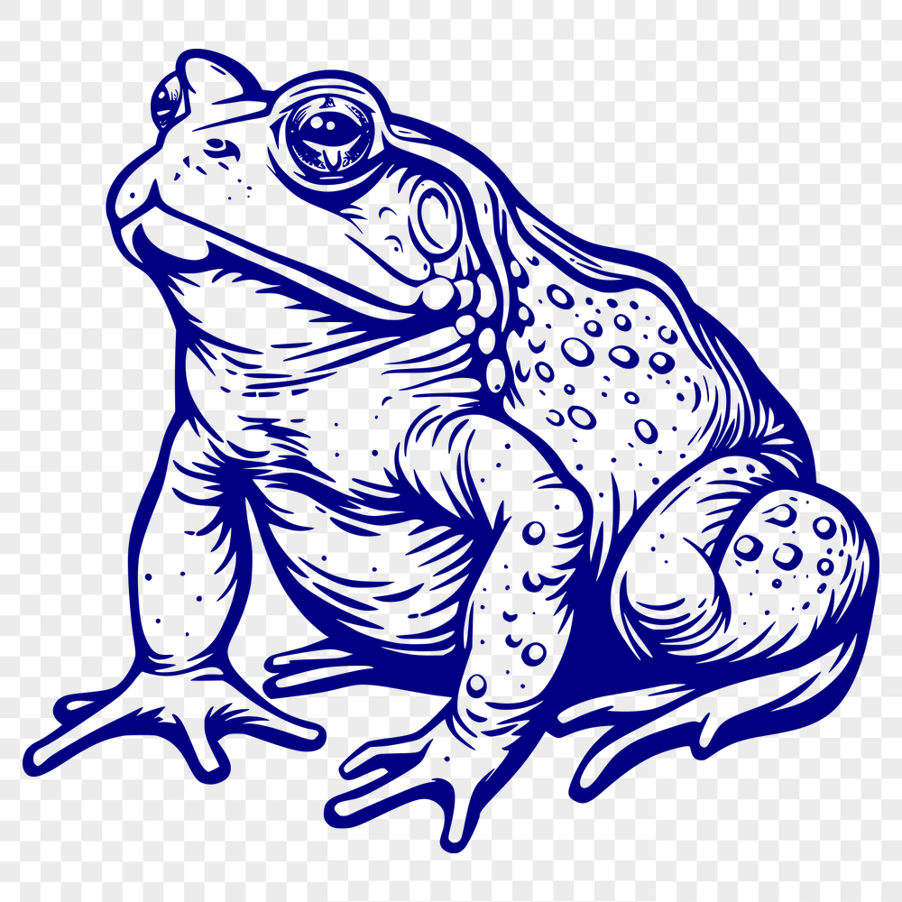 Unique Toad Drawing