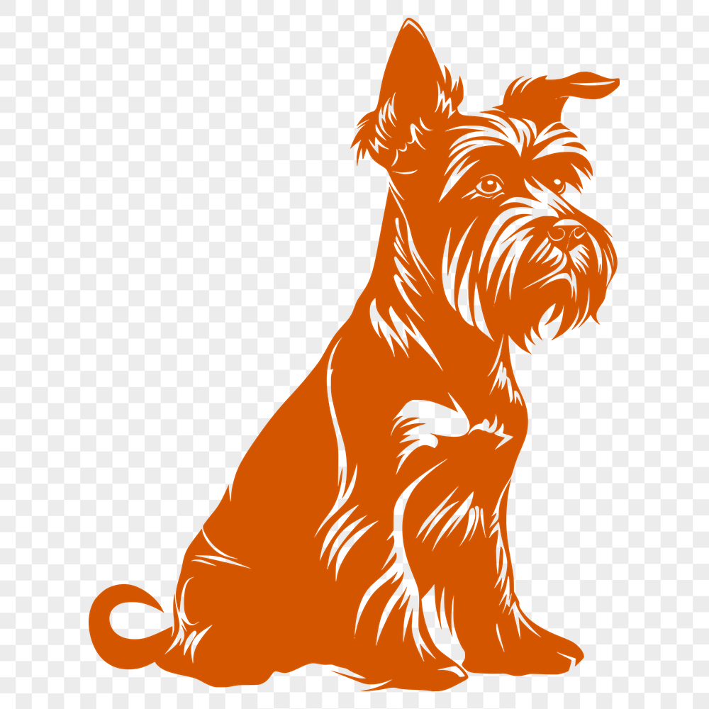 Creative Sitting Miniature Schnauzer Image